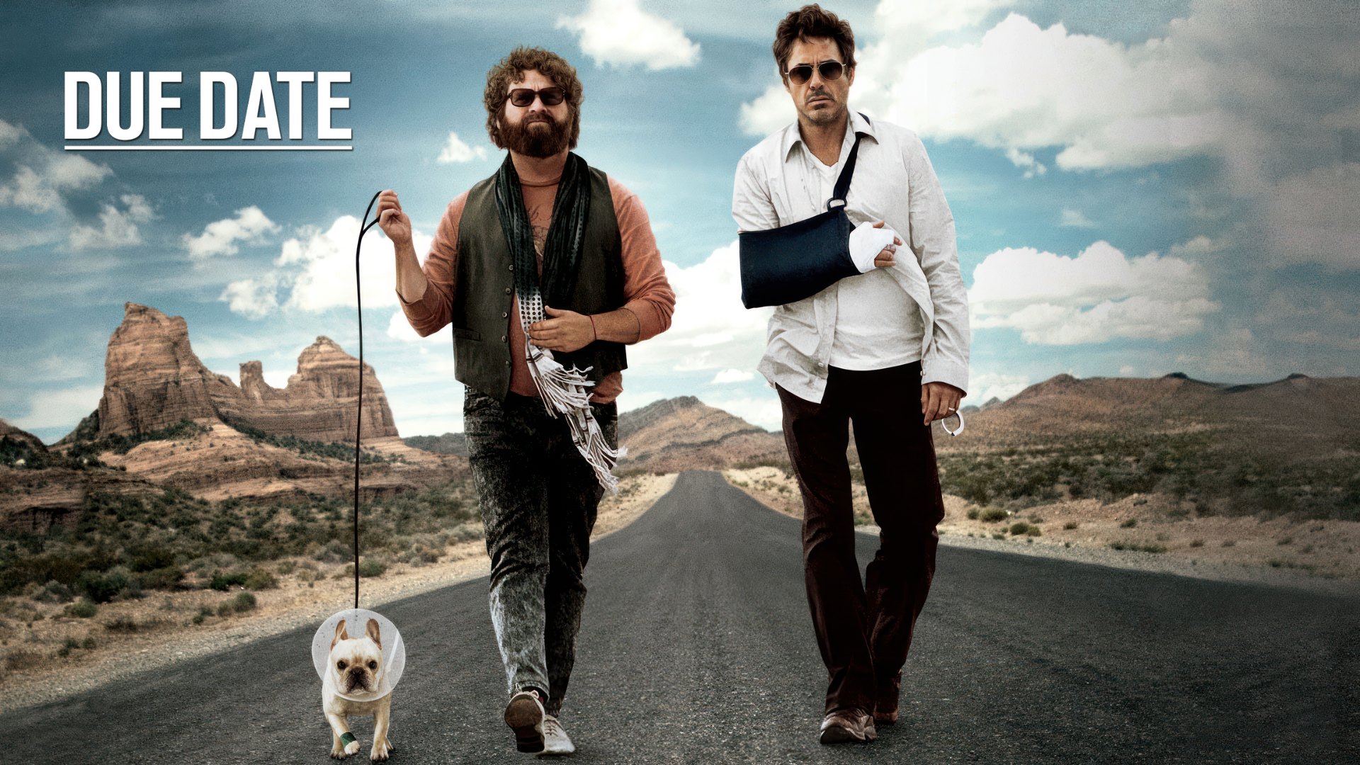 Due Date (2010) Google Drive Download