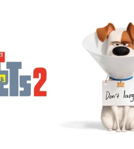 The Secret Life of Pets 2 (2019) Bluray Google Drive Download