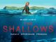 The Shallows (2018) Bluray Google Drive Download