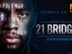 21 Bridges (2019) Bluray Google Drive Download