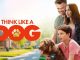 Think Like a Dog (2020) Bluray Google Drive Download