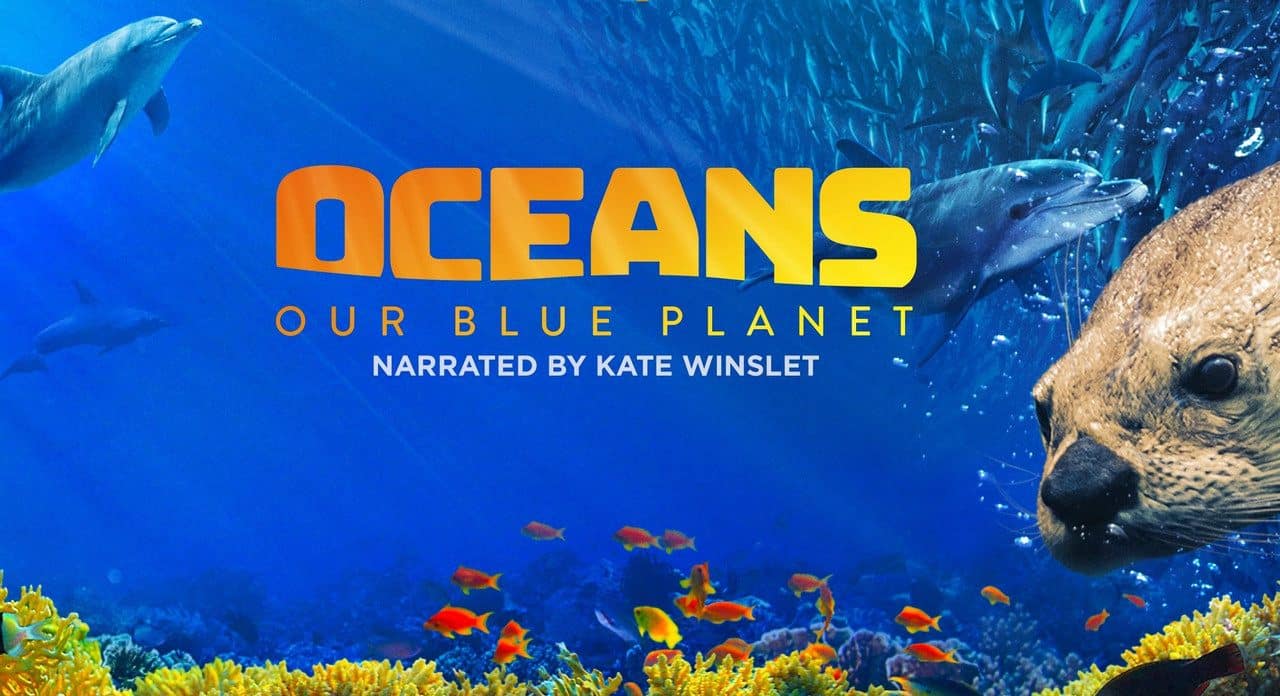Oceans Our Blue Planet (2012) Bluray Google Drive Download