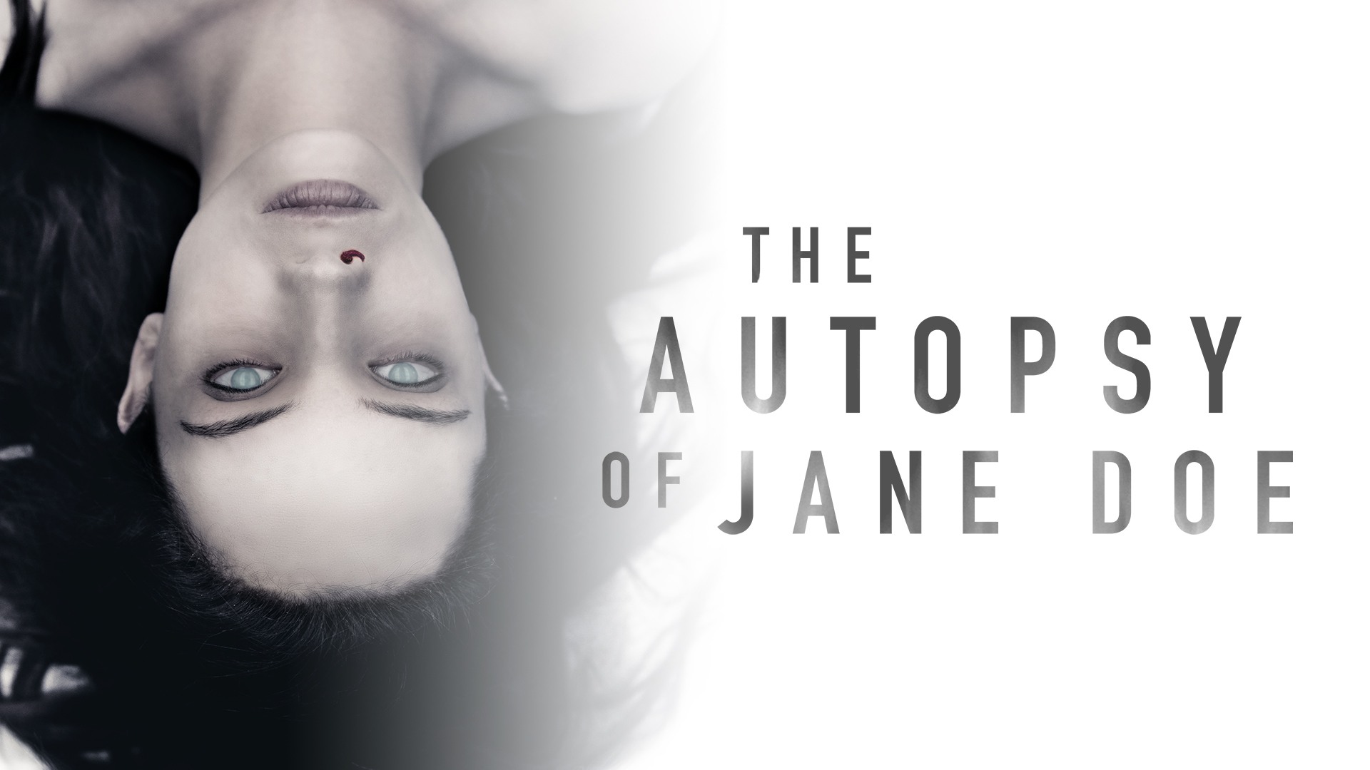 The Autopsy of Jane Doe 2016 Google Drive Download