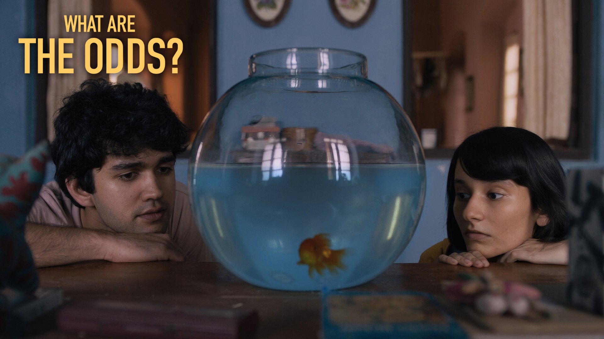 What Are the Odds (2020) Google Drive Download