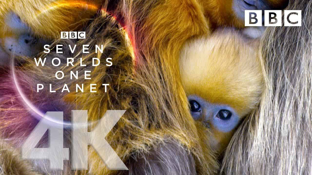 BBC Seven Worlds One Planet (2019) 4k hdr Bluray Google Drive Download