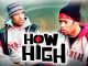 How High (2001) Bluray Google Drive Download