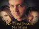 Na Tum Jaano Na Hum (2002) Hindi Google Drive Download