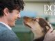 A Dogs Way Home (2019) Bluray Google Drive Download