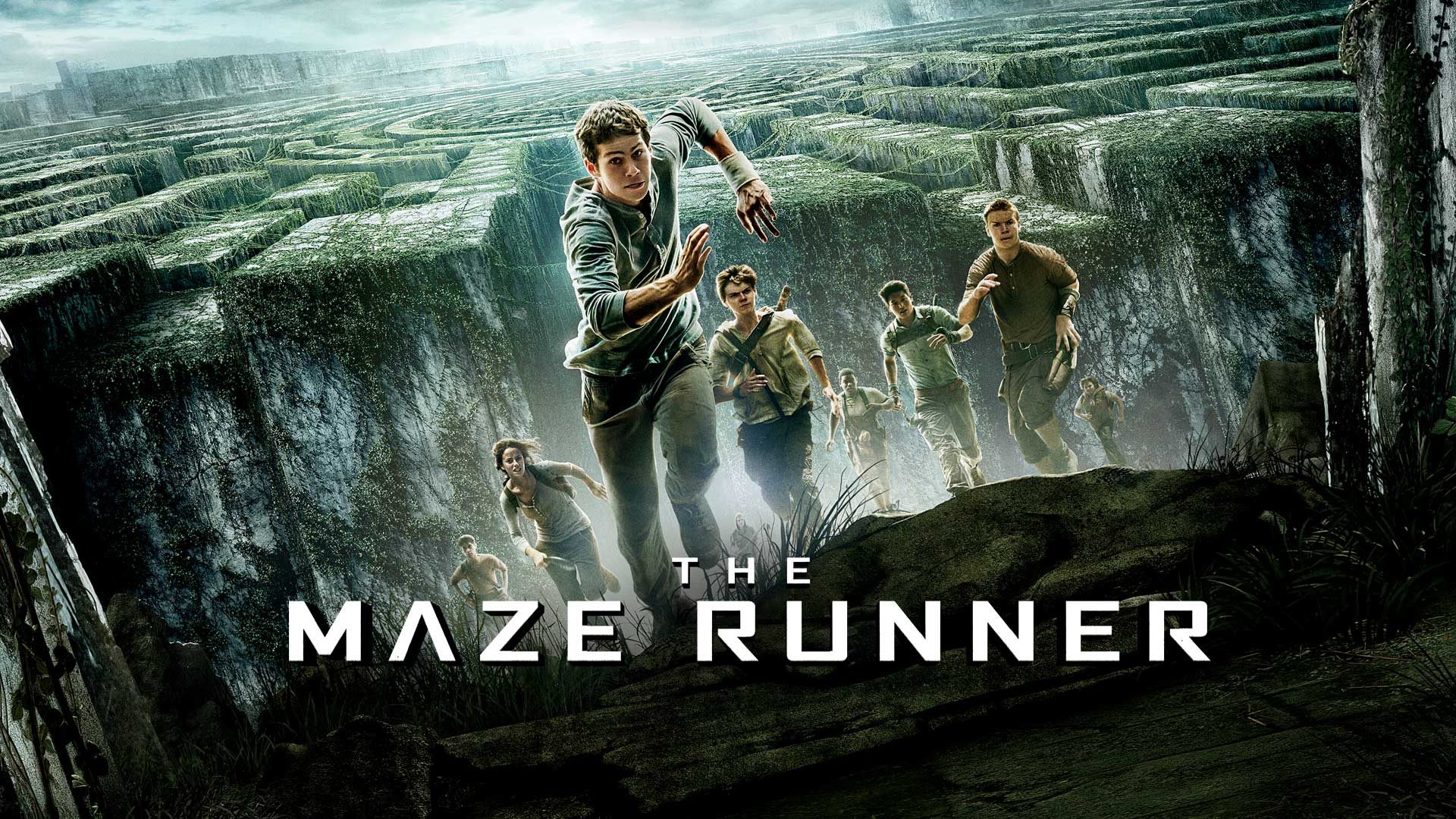 The Maze Runner Trilogy Collection Google Drive Download