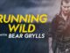 Running Wild With Bear Google Drive Download