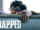 Trapped (2017) Google Drive Download 2