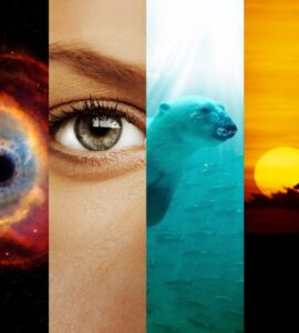 Cosmos Documentary Google Drive Download