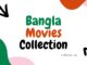 Pack 1 Bangla Movies Collection Google Drive Download