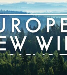 Europes New Wild (2020) Google Drive Download