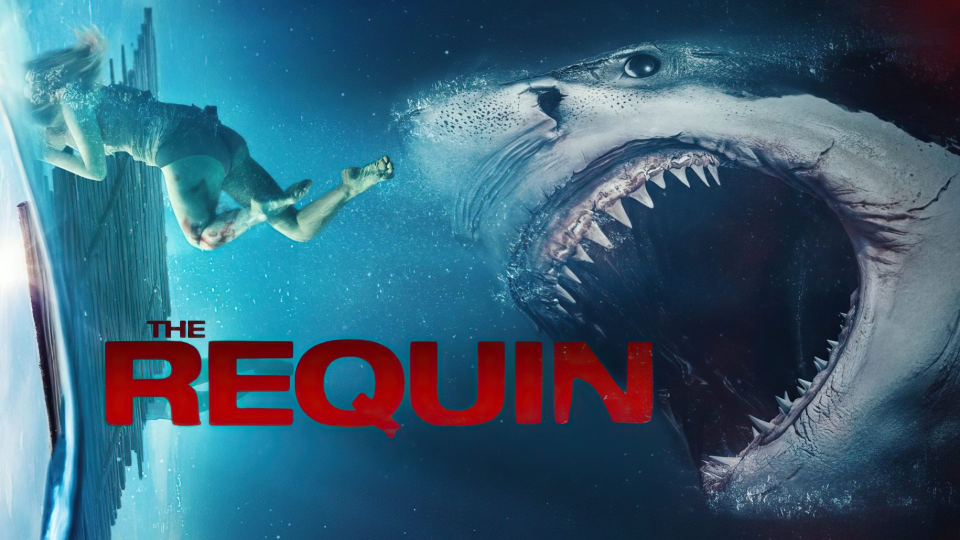 The Requin (2022) Google Drive Download