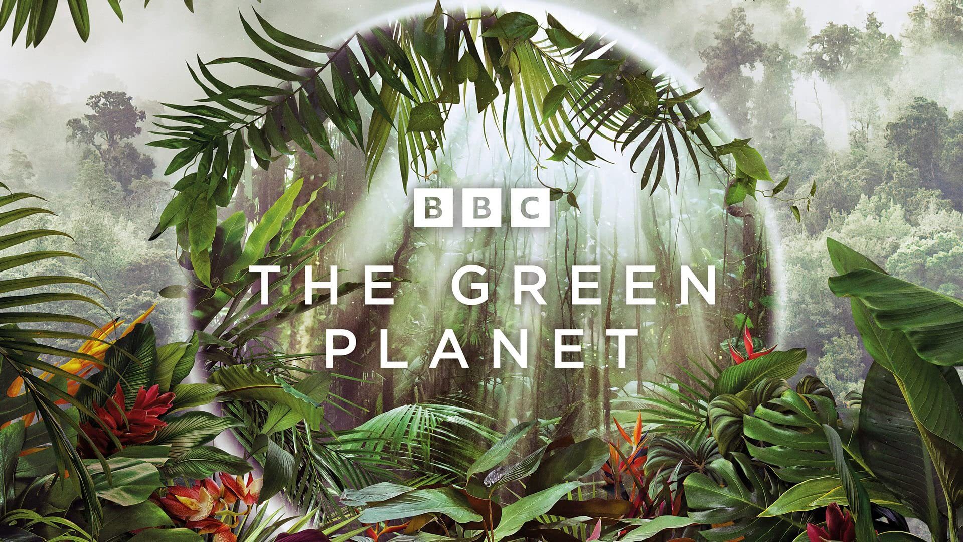 The Green Planet S01 2022 Google Drive Download