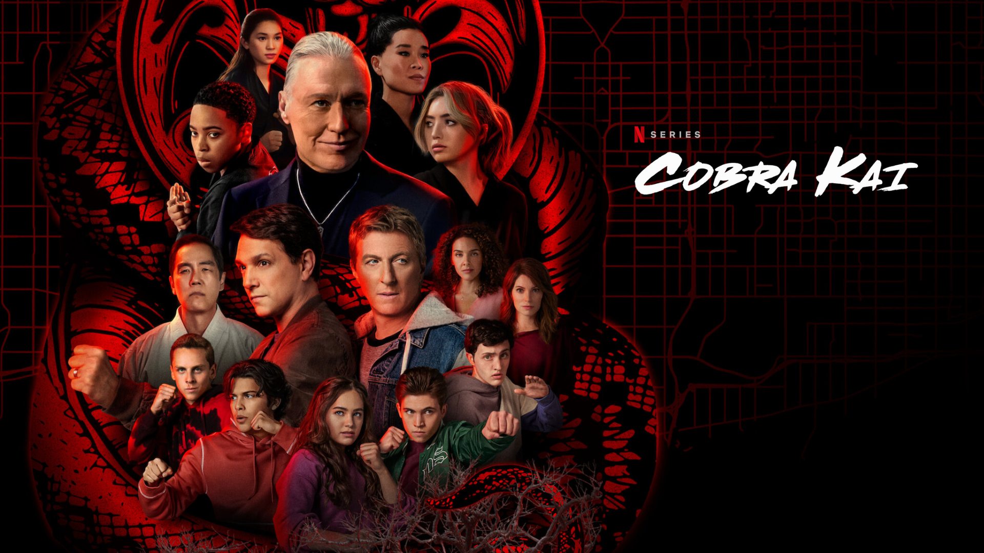 Cobra Kai (2022) Season 5 Google Drive Download