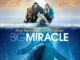 Big Miracle (2012) Google Drive Download