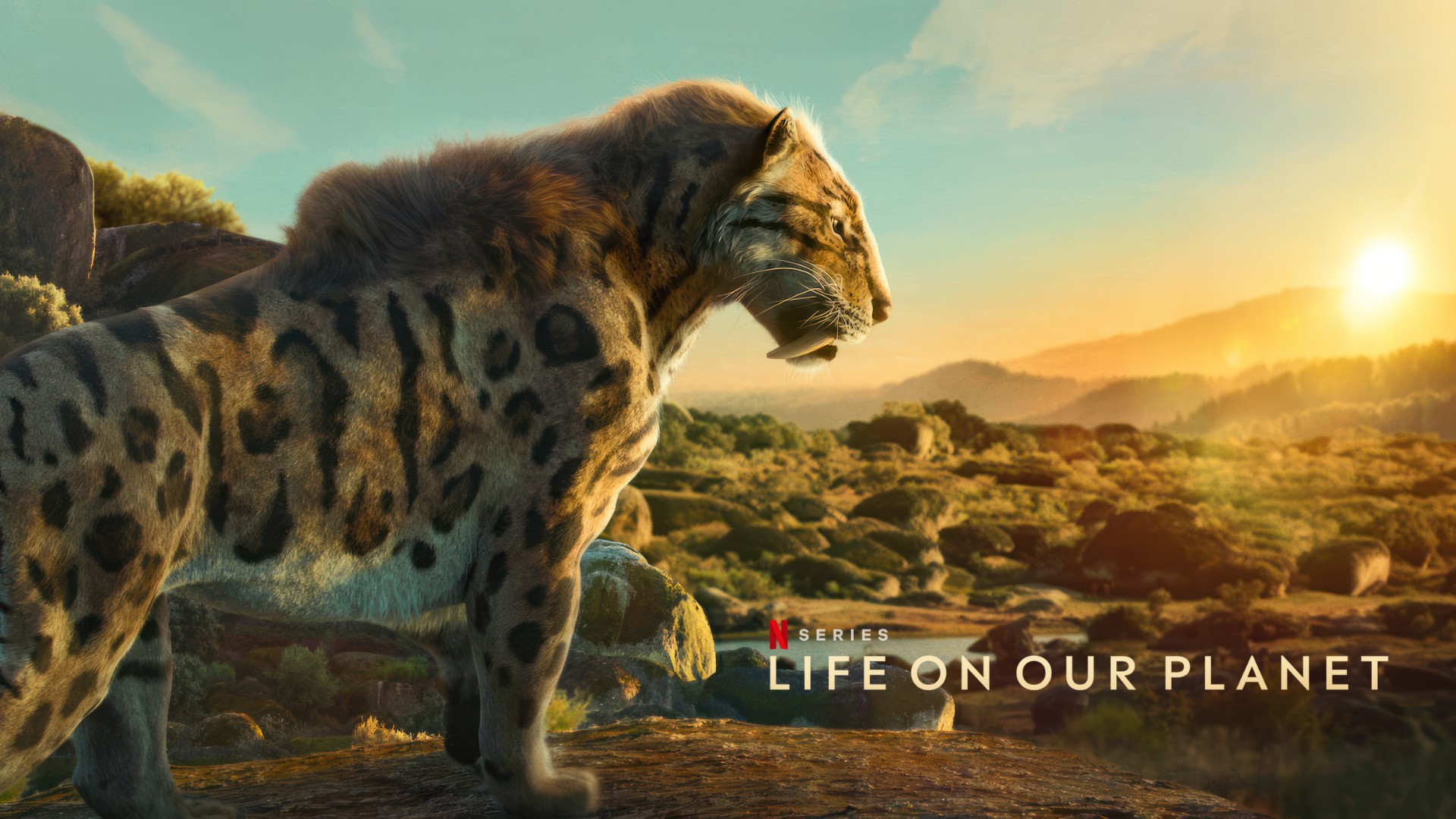 Life on Our Planet (2023) Google Drive Download
