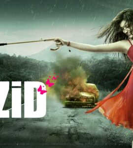 Zid (2014) Google Drive Download
