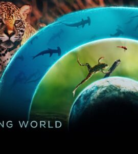 Our Living World (2024) Google Drive Download