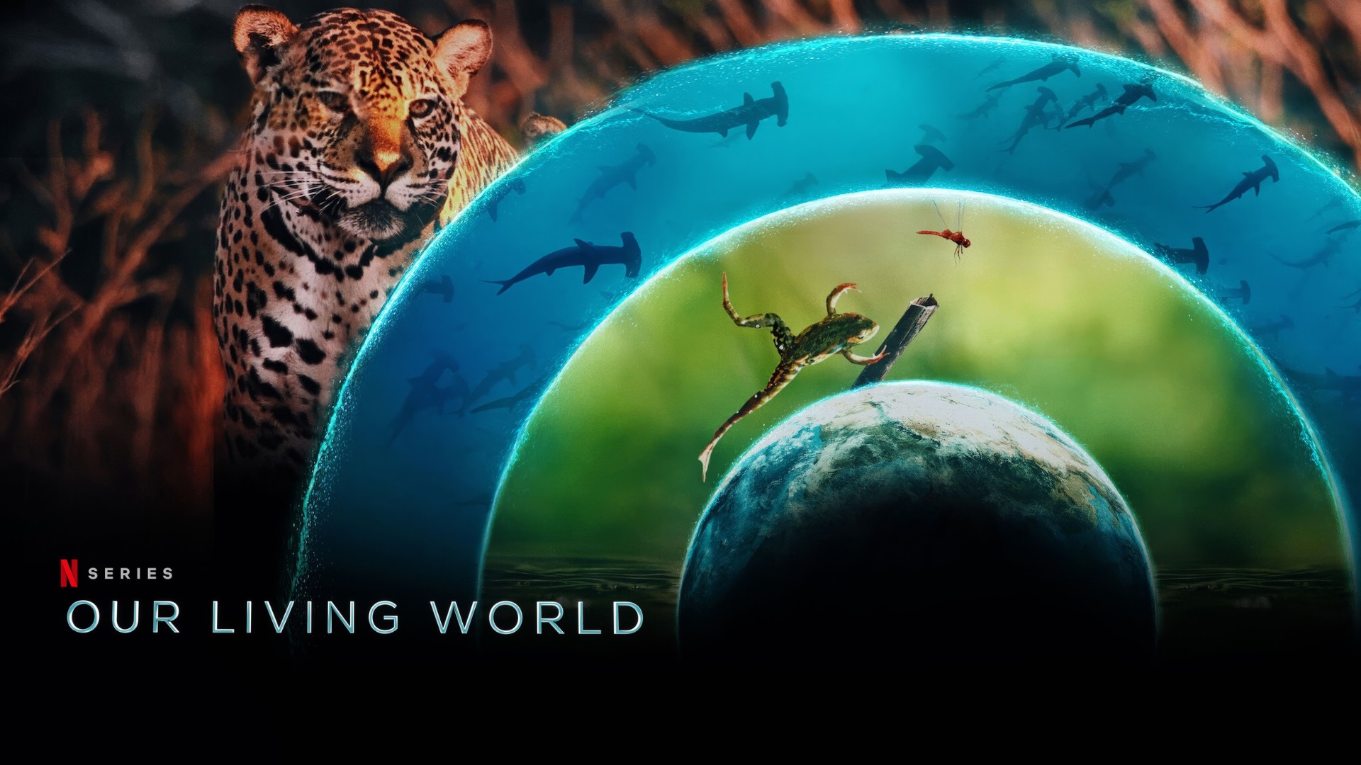 Our Living World (2024) Google Drive Download